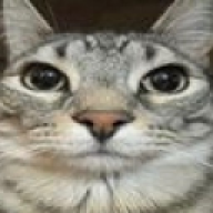WhiteFox_YT