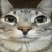 WhiteFox_YT